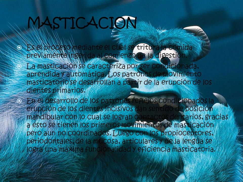 MASTICACION Es el proceso mediante el cual se tritura la comida previamente ingerida al comienzo de la digestión.