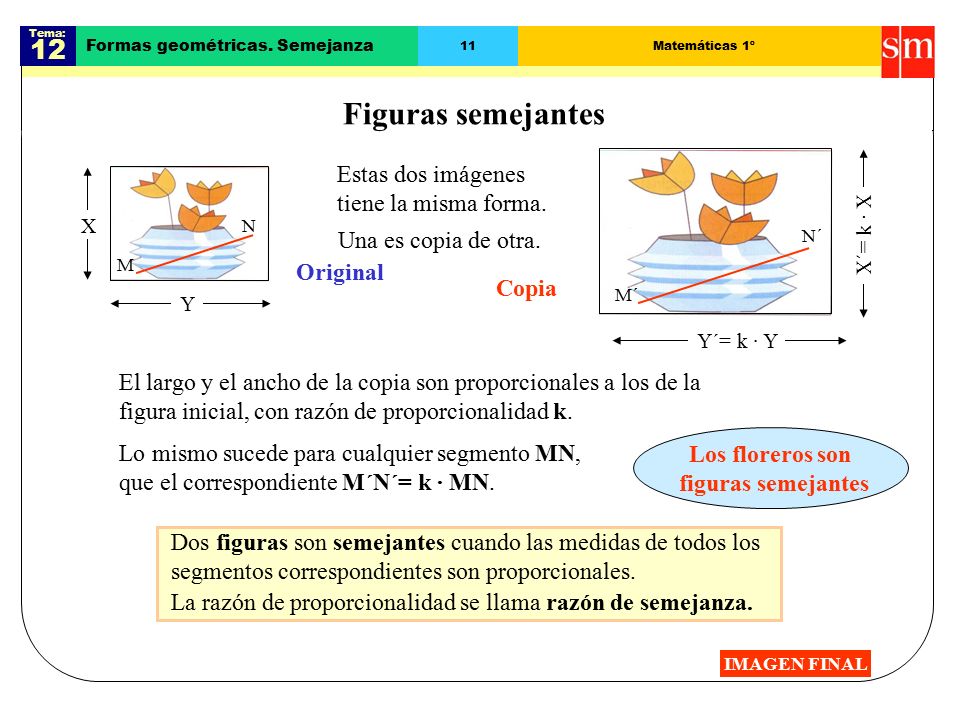 Figuras semejantes 12 Estas dos imágenes tiene la misma forma.