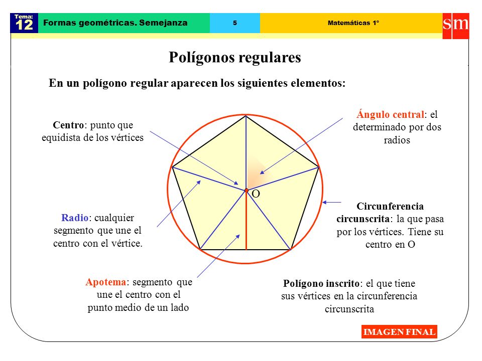 Tema 12 Formas Geometricas Semejanza 1 Matematicas 1º Angulos