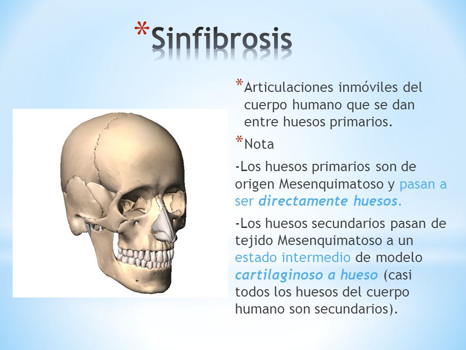 Sinfibrosis Articulaciones inmóviles del cuerpo humano que se dan entre huesos primarios. Nota.