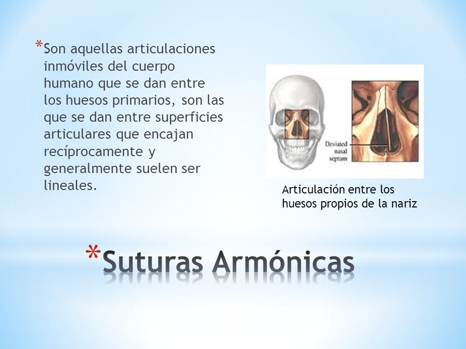 Son aquellas articulaciones inmóviles del cuerpo humano que se dan entre los huesos primarios, son las que se dan entre superficies articulares que encajan recíprocamente y generalmente suelen ser lineales.