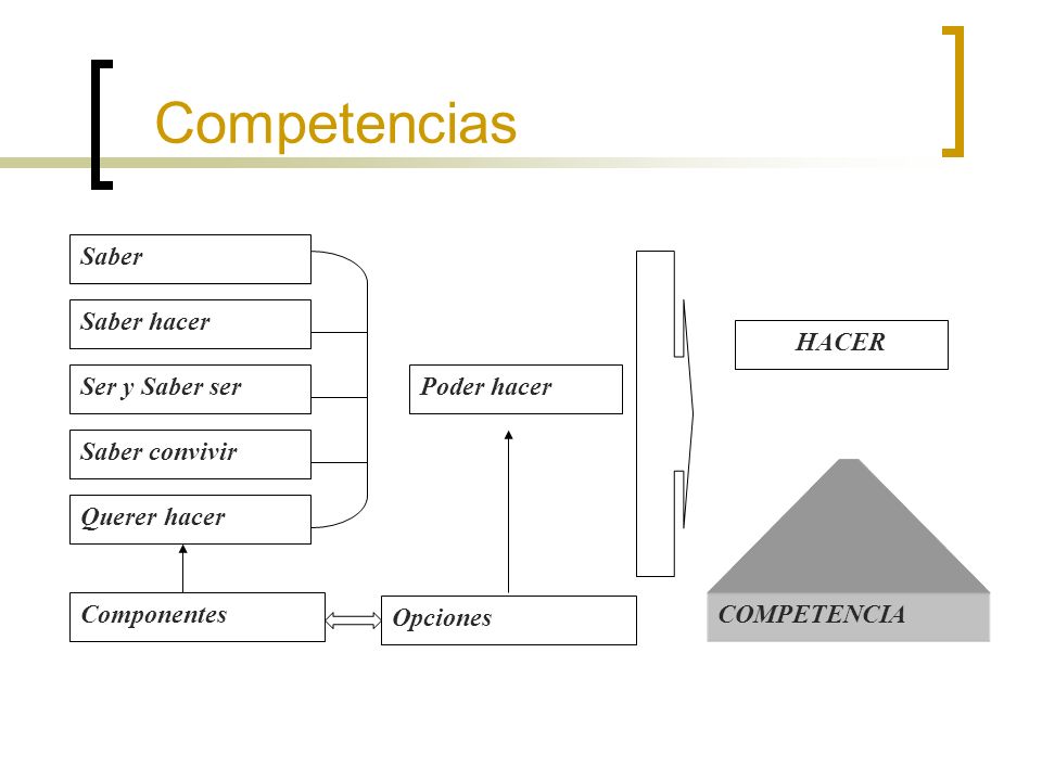 Competencias Saber Saber hacer Ser y Saber ser Saber convivir