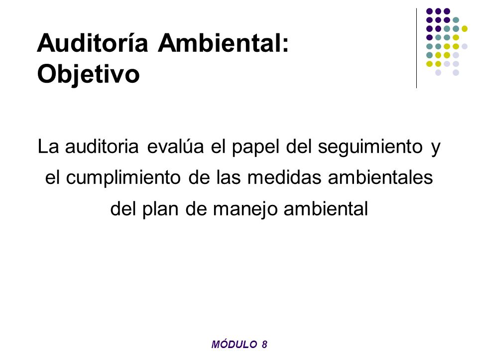 Auditoría Ambiental: Objetivo