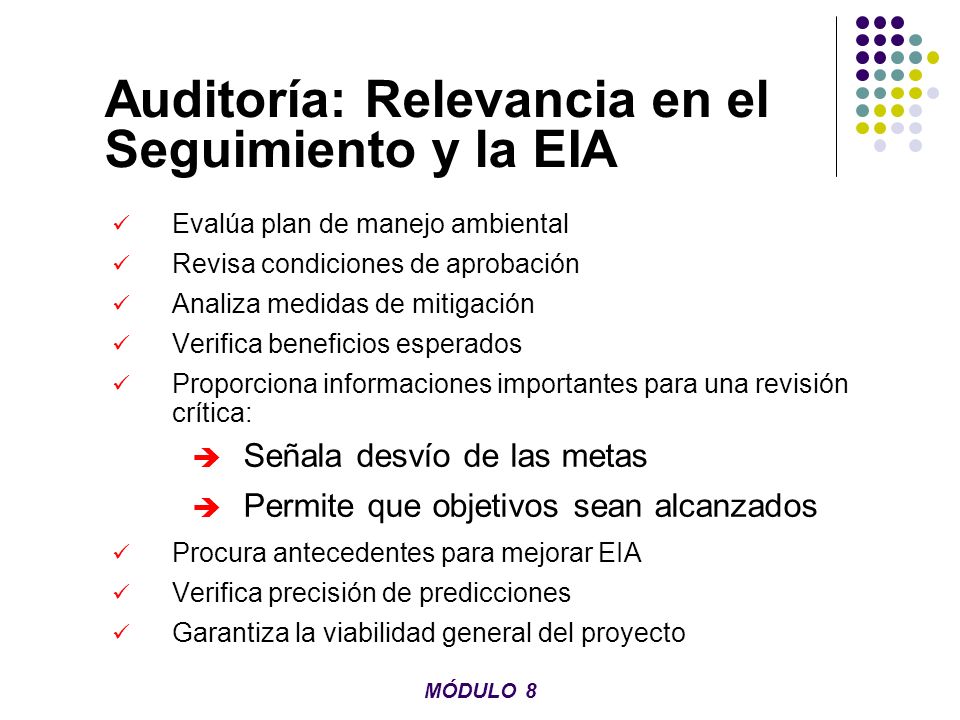 Auditoría: Relevancia en el Seguimiento y la EIA