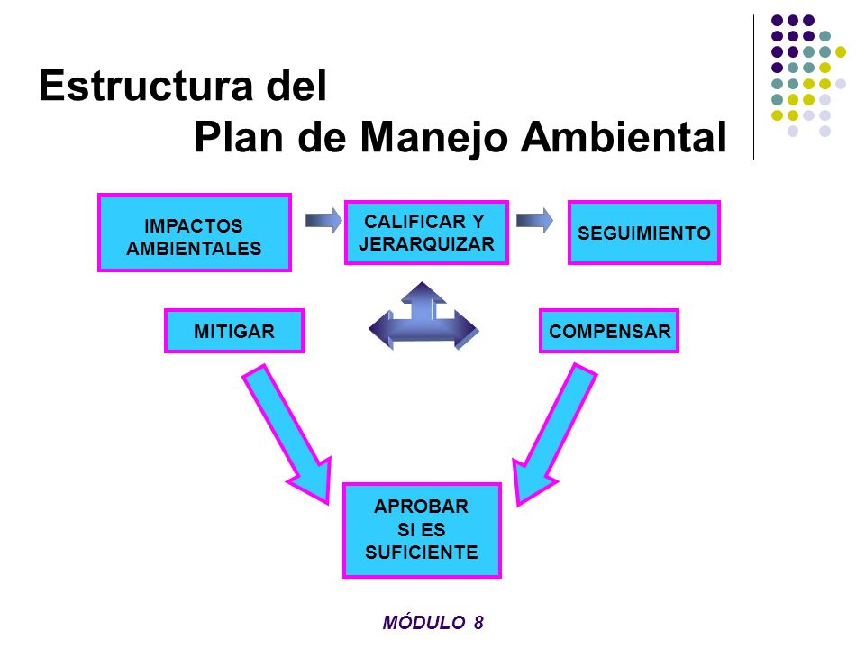 Estructura del Plan de Manejo Ambiental