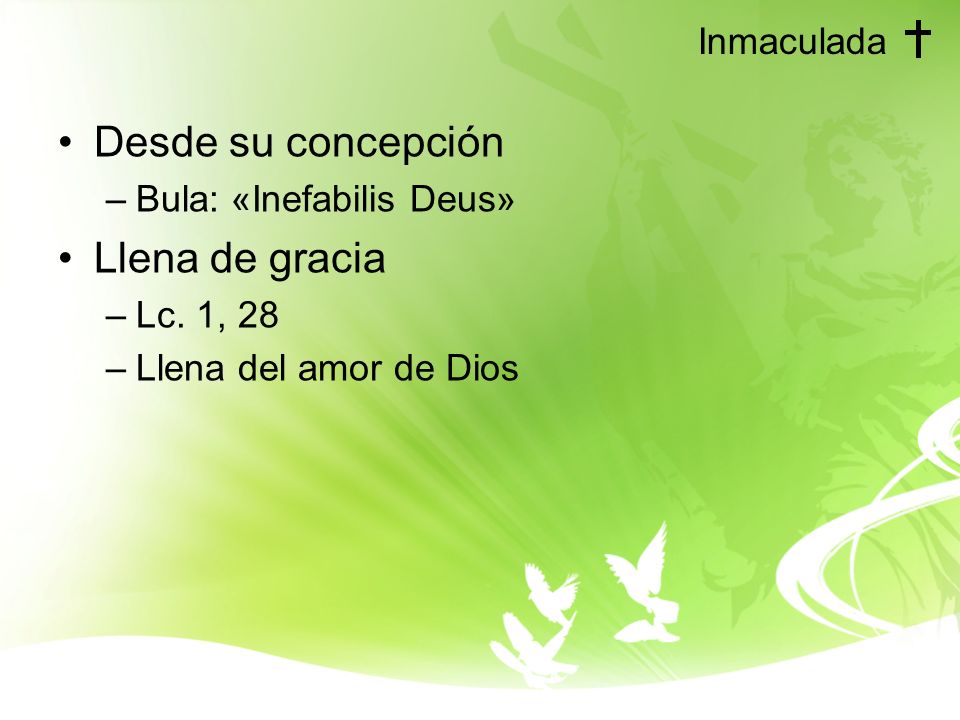 Desde su concepción Llena de gracia Inmaculada Bula: «Inefabilis Deus»