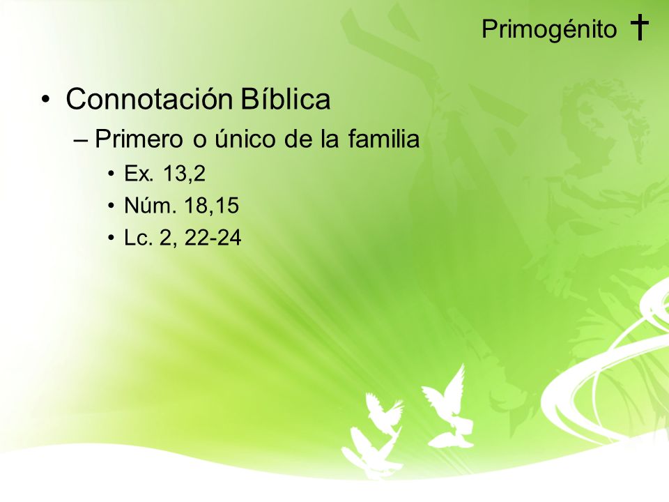 Connotación Bíblica Primogénito Primero o único de la familia Ex. 13,2