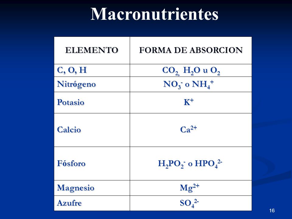 Macronutrientes ELEMENTO FORMA DE ABSORCION C, O, H CO2, H2O u O2