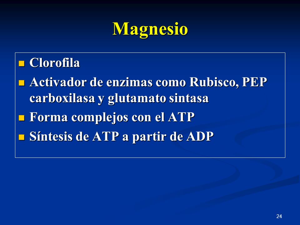 Magnesio Clorofila. Activador de enzimas como Rubisco, PEP carboxilasa y glutamato sintasa. Forma complejos con el ATP.