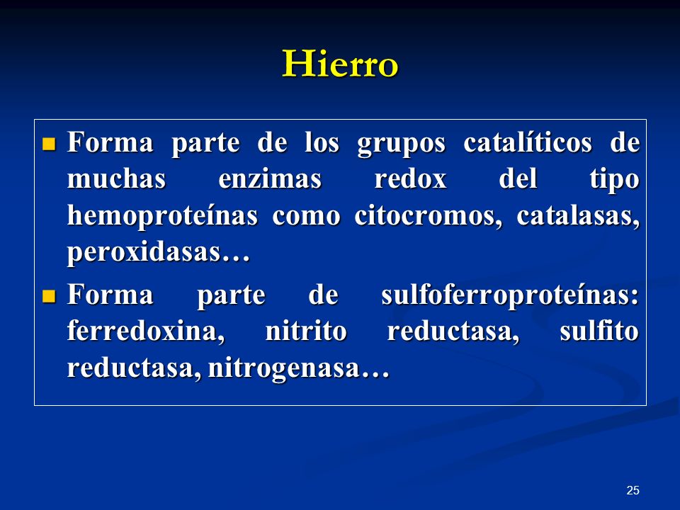 Hierro Forma parte de los grupos catalíticos de muchas enzimas redox del tipo hemoproteínas como citocromos, catalasas, peroxidasas…