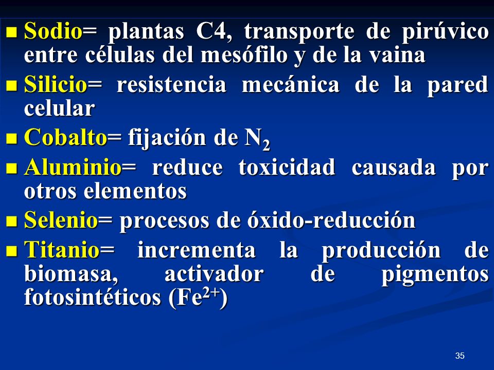 Sodio= plantas C4, transporte de pirúvico entre células del mesófilo y de la vaina