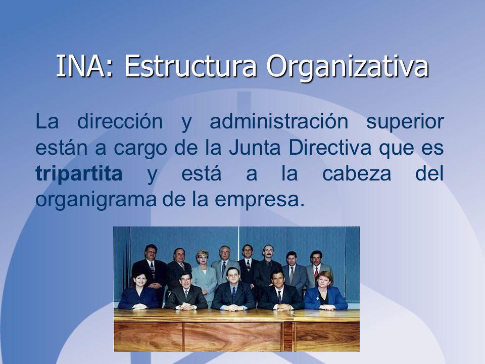 INA: Estructura Organizativa