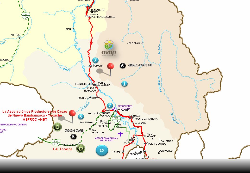 La Asociación de Productores de Cacao de Nuevo Bambamarca - Tocache ASPROC –NBT. 5. MOYOBAMBA.