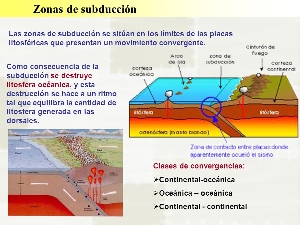 Zonas de subducción Las zonas de subducción se sitúan en los límites de las placas litosféricas que presentan un movimiento convergente.