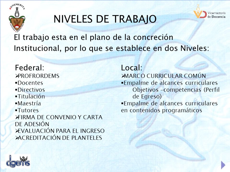NIVELES DE TRABAJO El trabajo esta en el plano de la concreción Institucional, por lo que se establece en dos Niveles:
