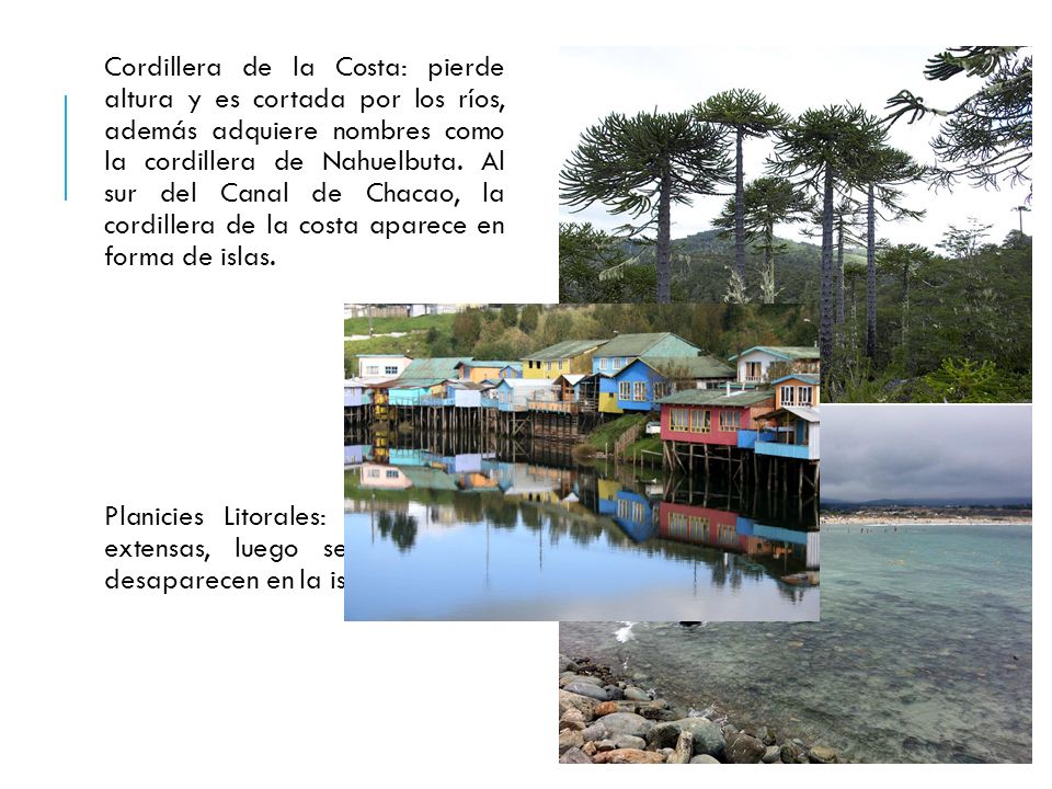 Cordillera de la Costa: pierde altura y es cortada por los ríos, además adquiere nombres como la cordillera de Nahuelbuta. Al sur del Canal de Chacao, la cordillera de la costa aparece en forma de islas.