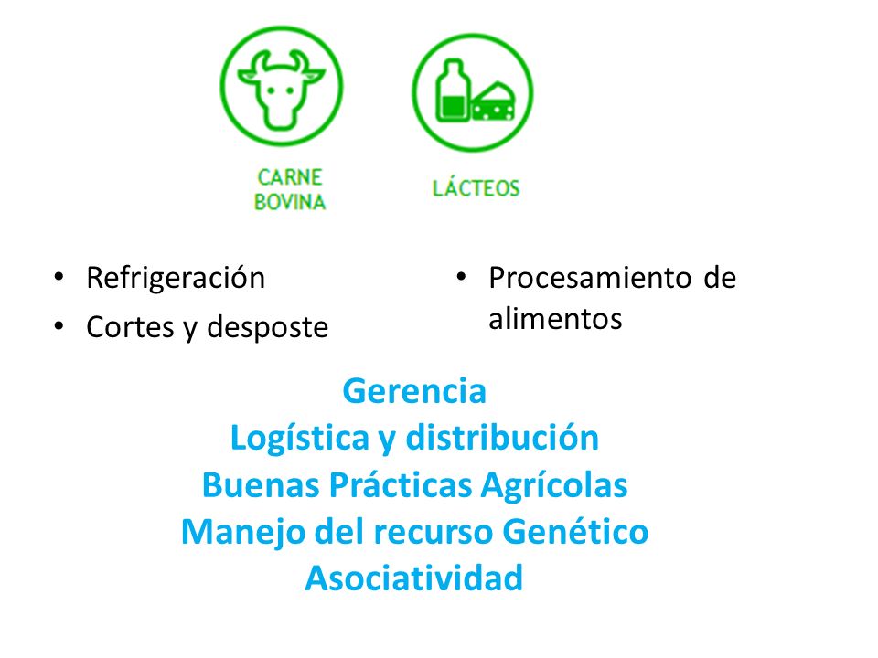 Logística y distribución Buenas Prácticas Agrícolas
