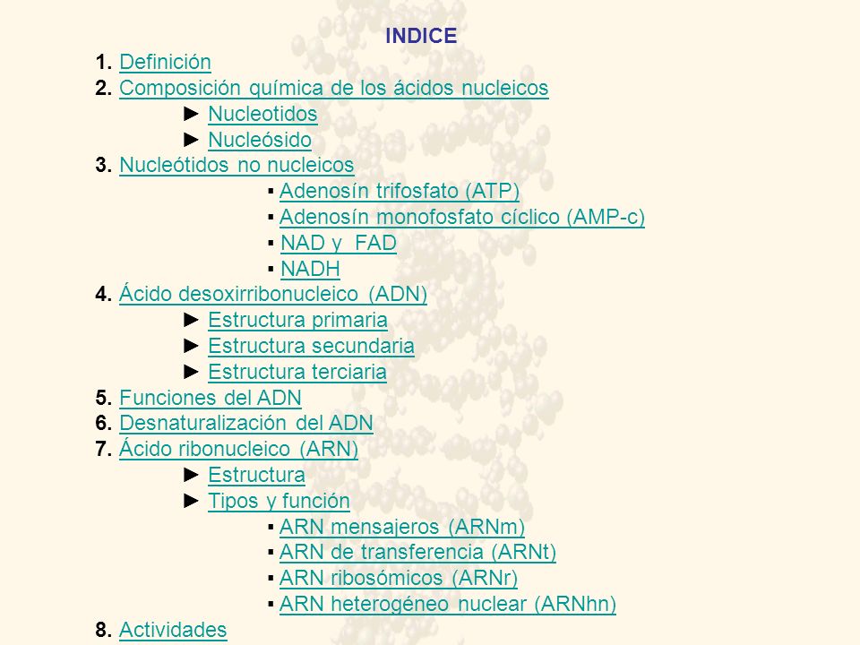 INDICE 1. Definición. 2. Composición química de los ácidos nucleicos. ► Nucleotidos. ► Nucleósido.