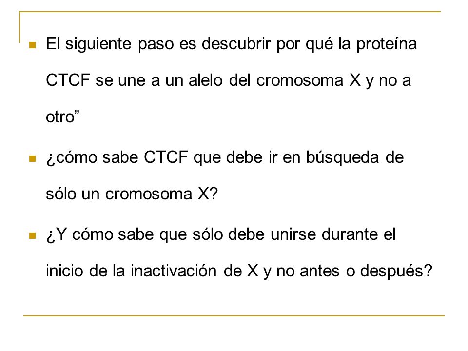 El siguiente paso es descubrir por qué la proteína CTCF se une a un alelo del cromosoma X y no a otro