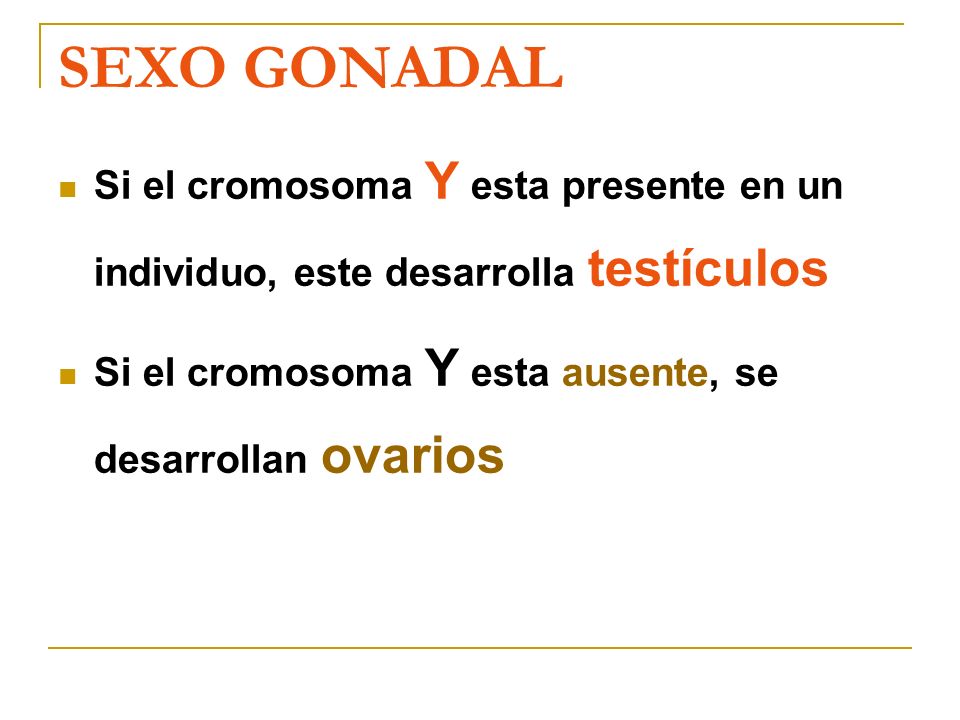 SEXO GONADAL Si el cromosoma Y esta presente en un individuo, este desarrolla testículos.