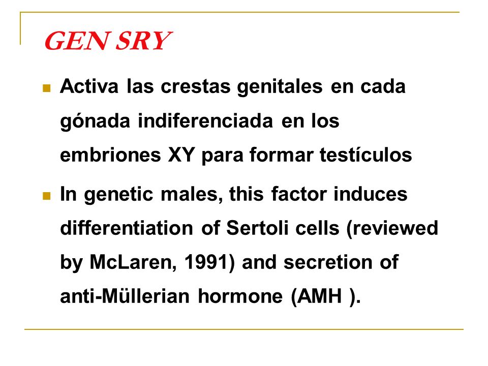 GEN SRY Activa las crestas genitales en cada gónada indiferenciada en los embriones XY para formar testículos.