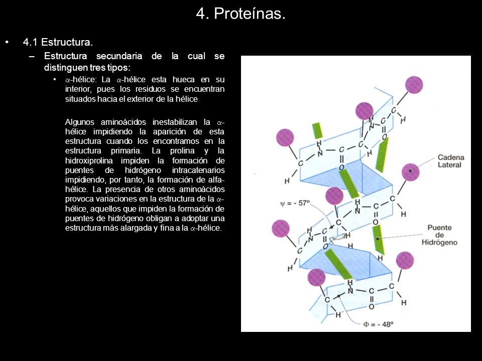 4. Proteínas. 4.1 Estructura. Estructura secundaria de la cual se distinguen tres tipos: