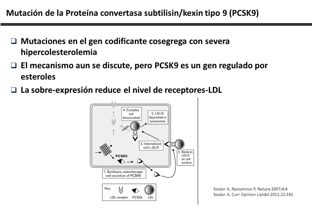 Mutación de la Proteína convertasa subtilisin/kexin tipo 9 (PCSK9)