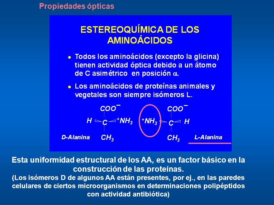 Propiedades ópticas Esta uniformidad estructural de los AA, es un factor básico en la construcción de las proteínas.