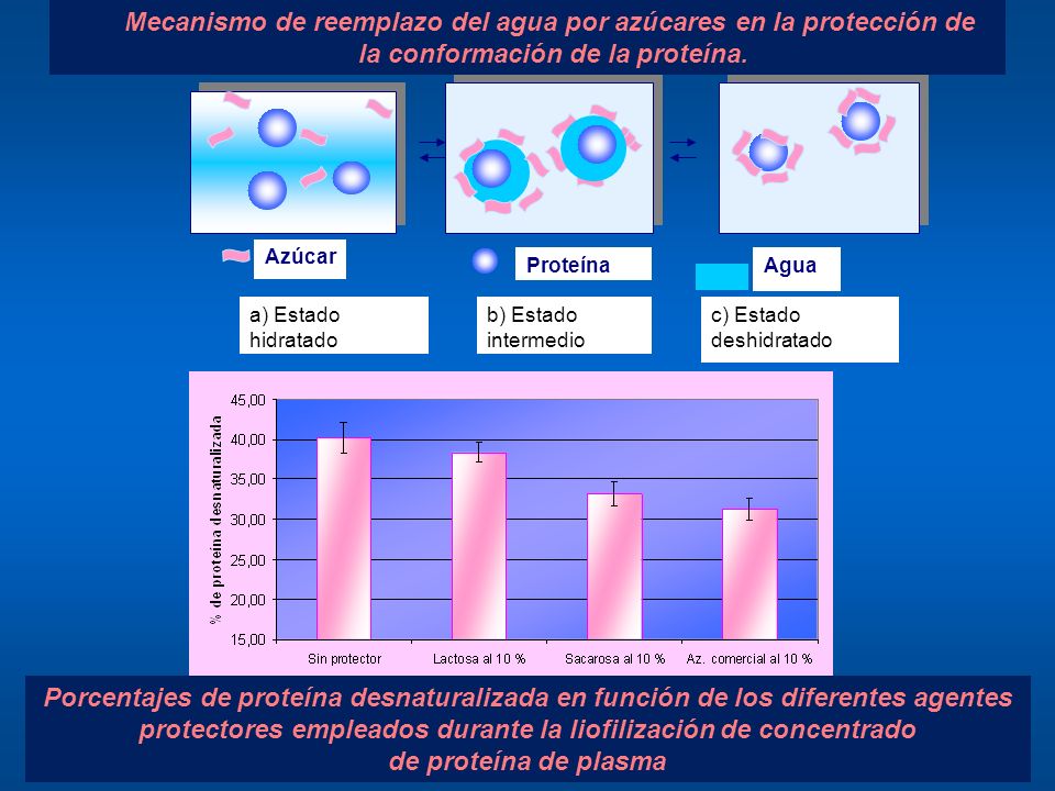 Mecanismo de reemplazo del agua por azúcares en la protección de