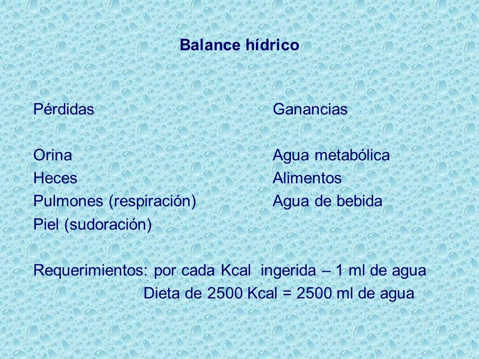 Balance hídrico Pérdidas Ganancias. Orina Agua metabólica. Heces Alimentos. Pulmones (respiración) Agua de bebida.