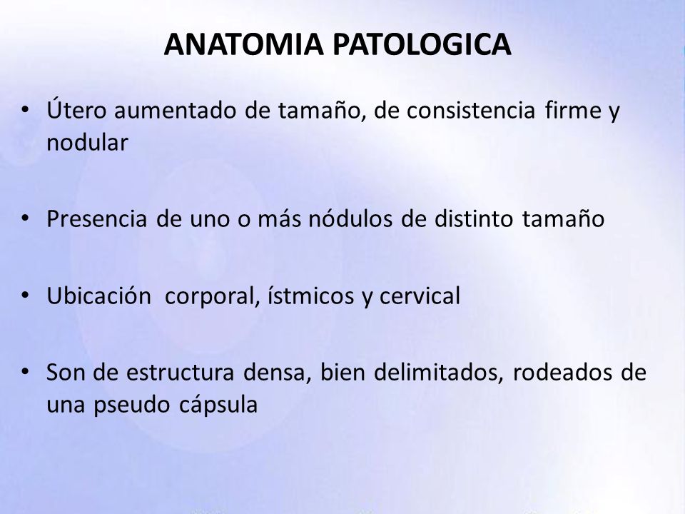 ANATOMIA PATOLOGICA Útero aumentado de tamaño, de consistencia firme y nodular. Presencia de uno o más nódulos de distinto tamaño.