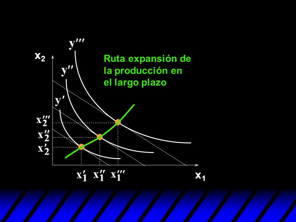 x2 Ruta expansión de la producción en el largo plazo x1
