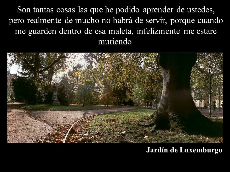Son tantas cosas las que he podido aprender de ustedes, pero realmente de mucho no habrá de servir, porque cuando me guarden dentro de esa maleta, infelizmente me estaré muriendo.