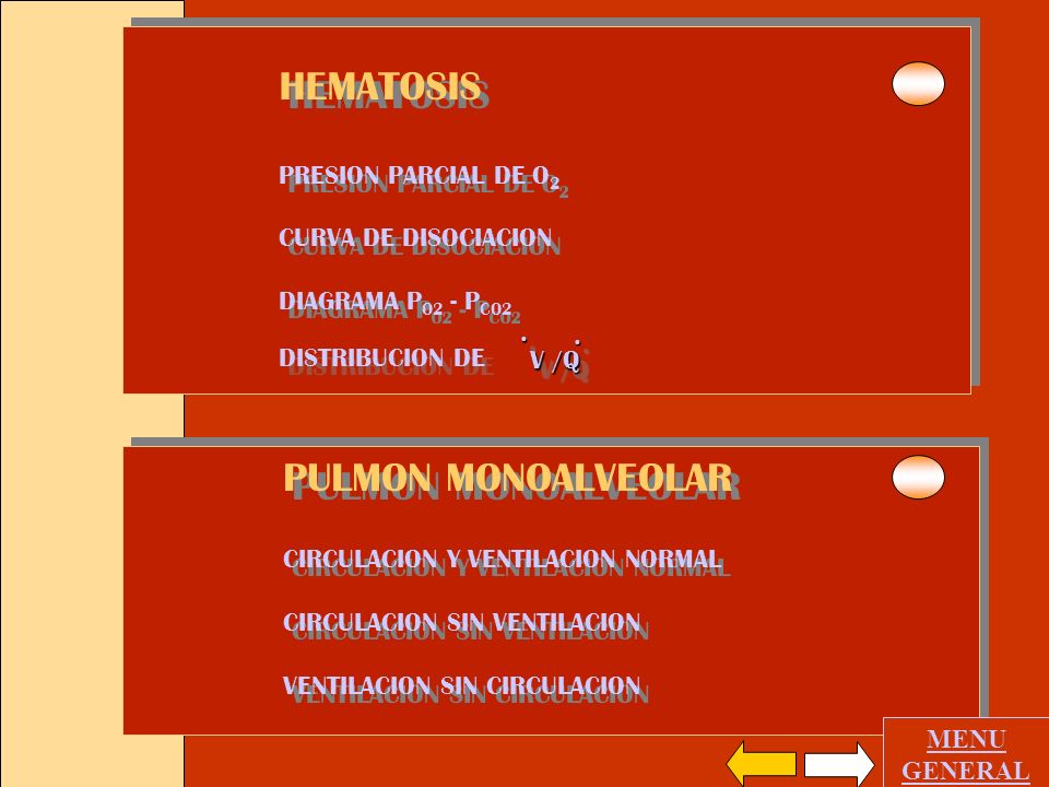 HEMATOSIS PULMON MONOALVEOLAR PRESION PARCIAL DE O2