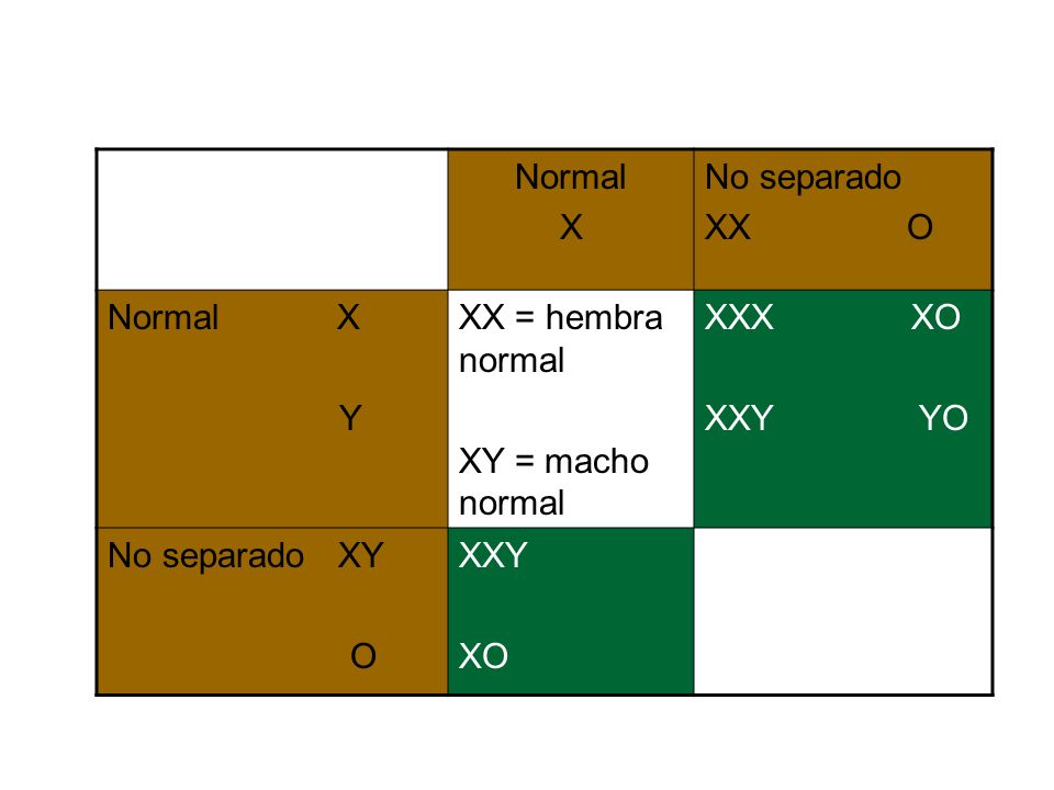 Normal X. No separado. XX O. Normal X. Y. XX = hembra normal. XY = macho normal.