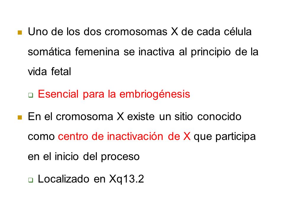 Uno de los dos cromosomas X de cada célula somática femenina se inactiva al principio de la vida fetal