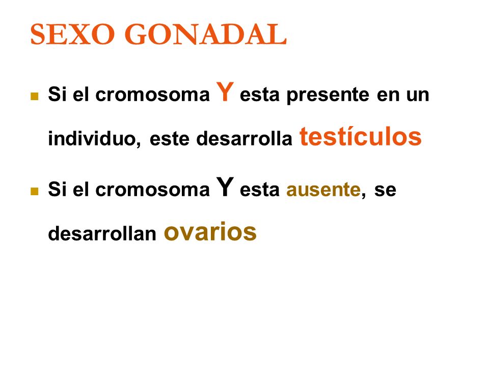 SEXO GONADAL Si el cromosoma Y esta presente en un individuo, este desarrolla testículos.