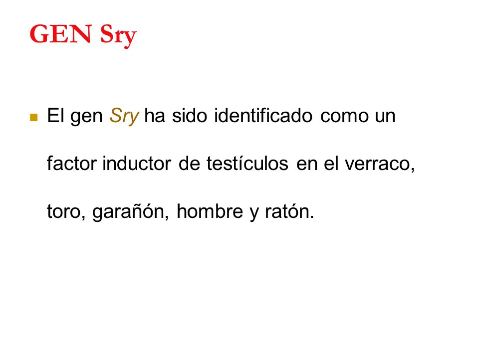 GEN Sry El gen Sry ha sido identificado como un factor inductor de testículos en el verraco, toro, garañón, hombre y ratón.