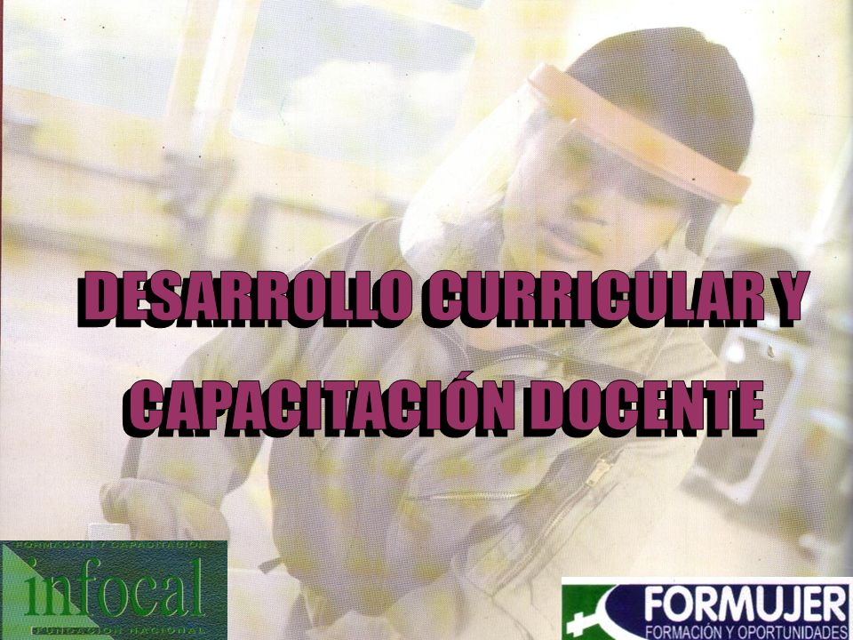 DESARROLLO CURRICULAR Y
