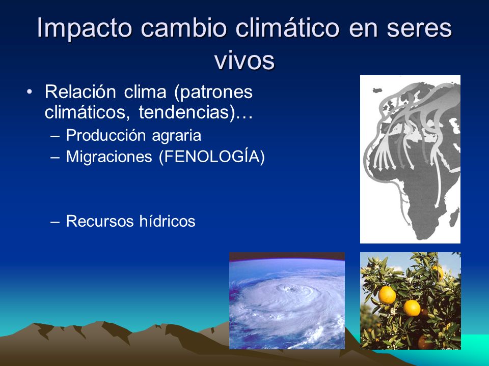 Impacto cambio climático en seres vivos