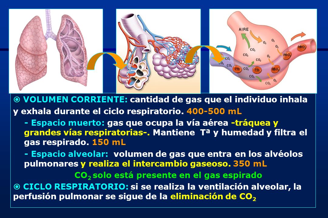 CO2 solo está presente en el gas espirado