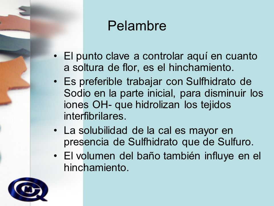 Pelambre El punto clave a controlar aquí en cuanto a soltura de flor, es el hinchamiento.