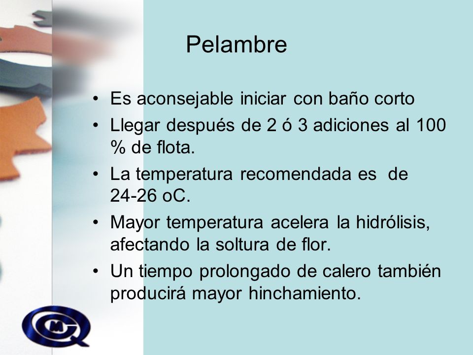 Pelambre Es aconsejable iniciar con baño corto
