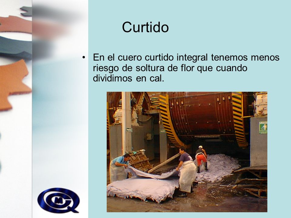 Curtido En el cuero curtido integral tenemos menos riesgo de soltura de flor que cuando dividimos en cal.
