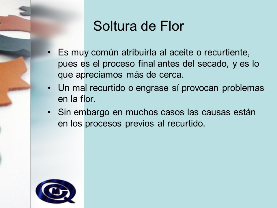 Soltura de Flor Es muy común atribuirla al aceite o recurtiente, pues es el proceso final antes del secado, y es lo que apreciamos más de cerca.