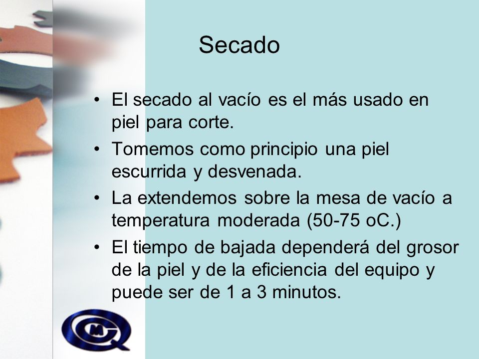 Secado El secado al vacío es el más usado en piel para corte.