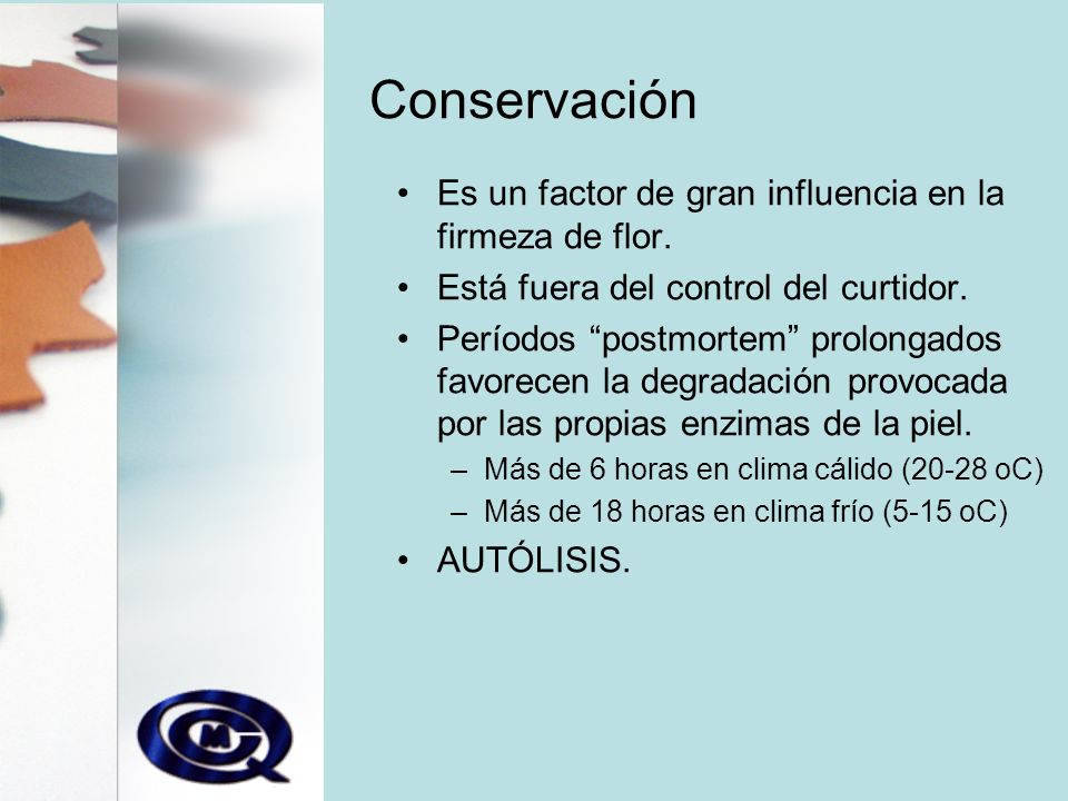 Conservación Es un factor de gran influencia en la firmeza de flor.