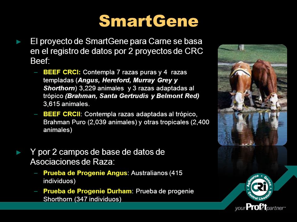 SmartGene El proyecto de SmartGene para Carne se basa en el registro de datos por 2 proyectos de CRC Beef: