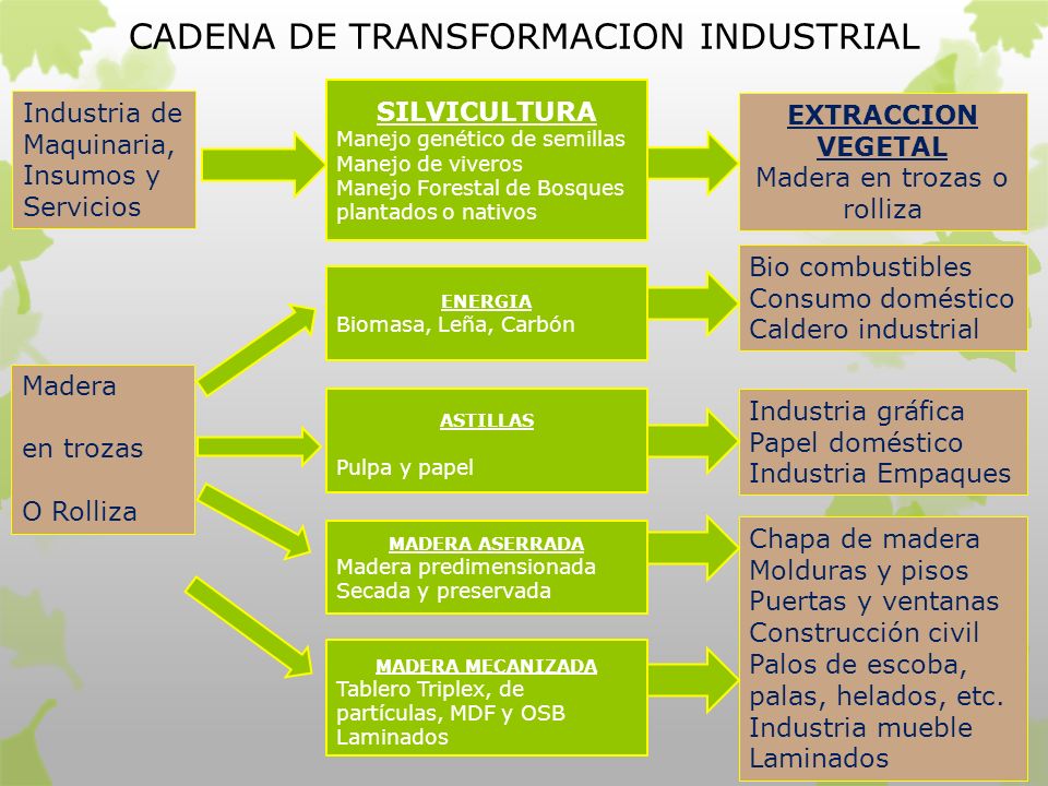 CADENA DE TRANSFORMACION INDUSTRIAL
