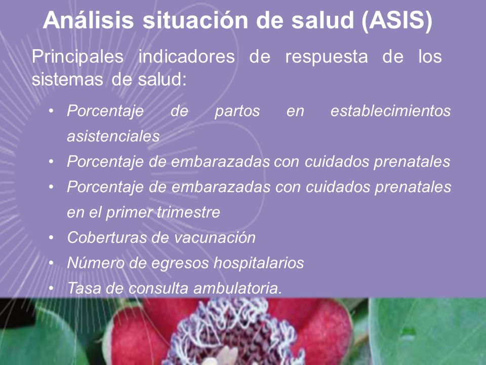 Análisis situación de salud (ASIS)